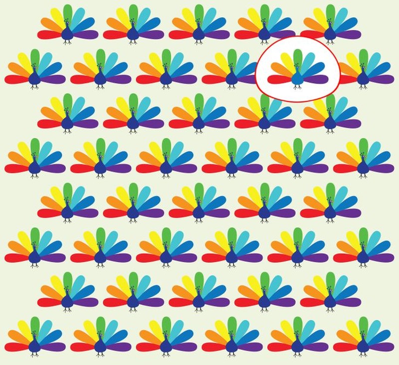 fotoinet cari objek tersembunyi