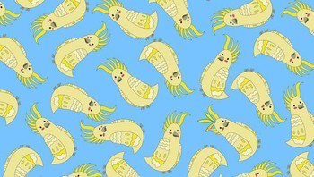 Temukan daun di antara burung beo! Foto: Brightside