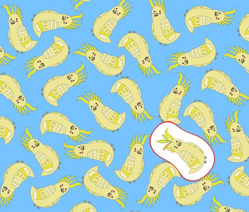 fotoinet cari objek tersembunyi