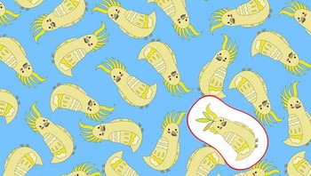 Ini jawabannya. Foto: Brightside