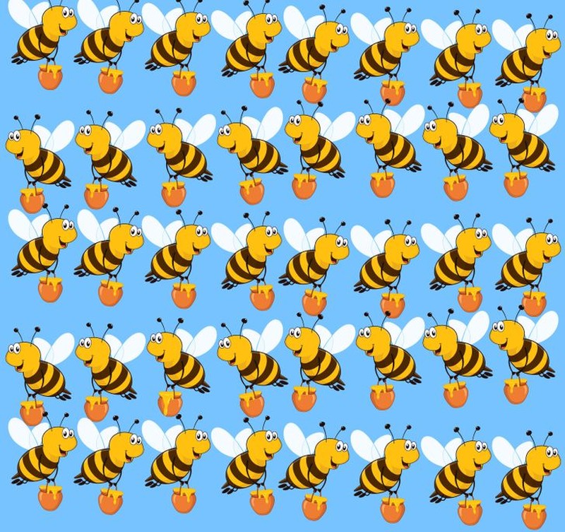 fotoinet cari objek tersembunyi