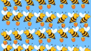 Ayo temukan mana lebah yang paling beda sendiri. Foto: Brightside