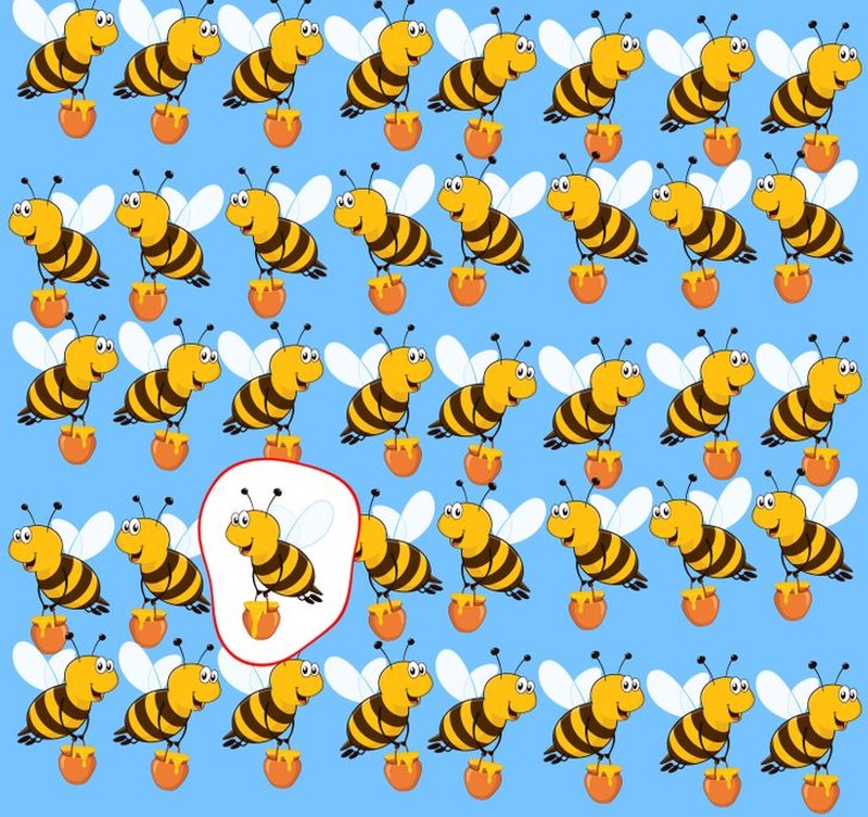 fotoinet cari objek tersembunyi