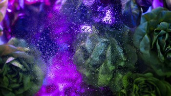 Taman vertikal menggunakan teknologi pertanian dalam ruangan dipamerkan di booth Telefonica pada MWC 2021.