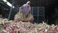 Diketahui, harga bawang merah mengalami penurunan.