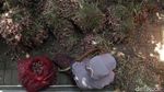 Ini Penyebab Harga Bawang Merah di Bantul Turun