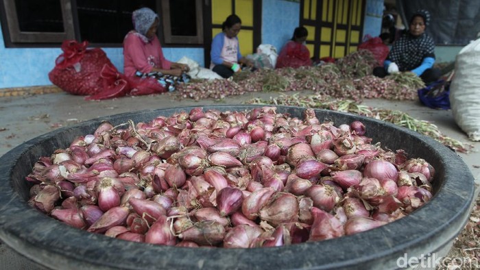 Ini Penyebab Harga Bawang Merah di Bantul Turun Harga bawang merah di Bantul turun dari Rp 32 ribu menjadi Rp 22 ribu. Penurunan harga itu diketahui terdampak anomali cuaca.