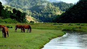 Potret Indahnya Lembah Salimbongan Sebelum Belepotan Akibat Kunker Bupati