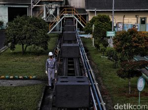 Inalum Mau Bikin Anak Usaha, Bos Danantara Bilang Masih Dikaji