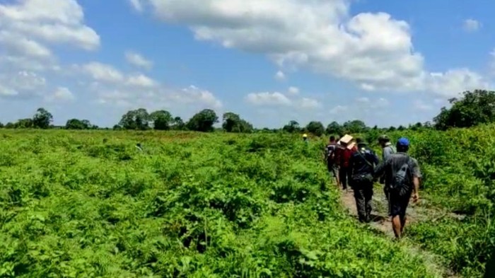 Penemuan mayat diduga diterkam harimau di Riau (dok. Istimewa)