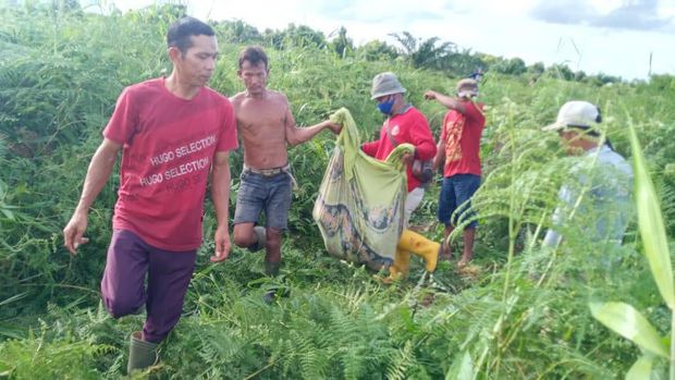 Penemuan mayat diduga diterkam harimau di Riau (dok. Istimewa)