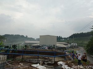 Pencemaran Limbah Pabrik Susu di Blitar, Hanya Surat Peringatan Tak Ada Eksekusi