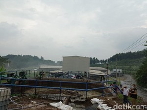 Pencemaran Limbah Pabrik Susu di Blitar, Hanya Surat Peringatan Tak Ada Eksekusi