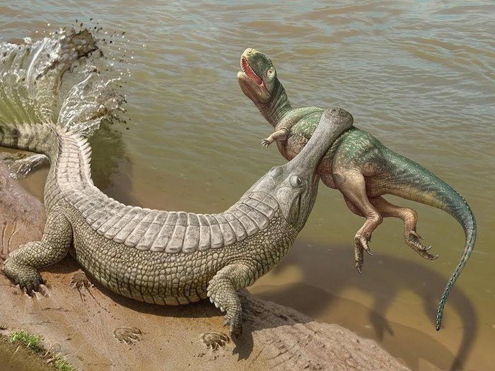 Sarcosuchus imperator