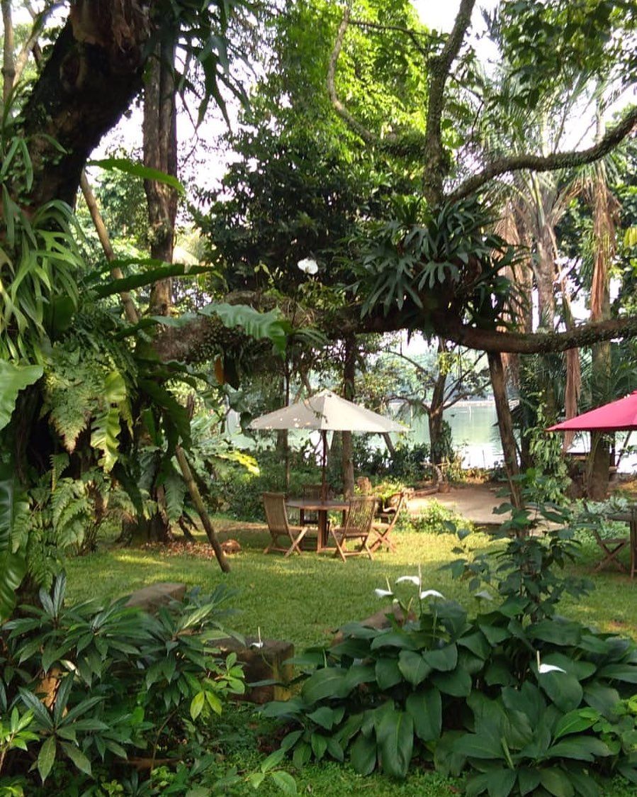 5 Rumah Makan Tradisional di Depok Ini Punya Karedok dan Mie Godog Sedap