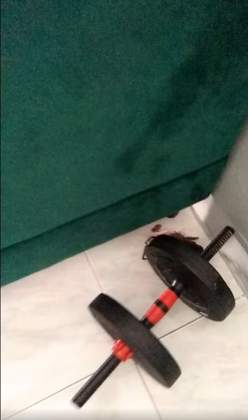 Duh! Kepiting Ini Masih Sempat Kabur dari Kuali Saat Akan Dimasak