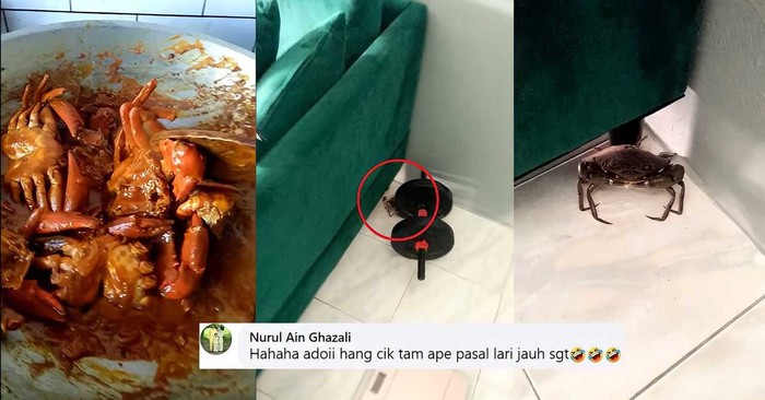 Duh! Kepiting Ini Masih Sempat Kabur dari Kuali Saat Akan Dimasak Duh! Kepiting Ini Masih Sempat Kabur dari Kuali Saat Akan Dimasak