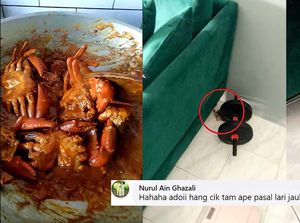 Duh! Kepiting Ini Masih Sempat Kabur dari Kuali Saat Akan Dimasak