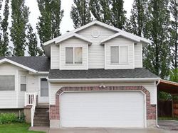 Kumpulan Foto Rumah Unik yang Punya Ekspresi Wajah