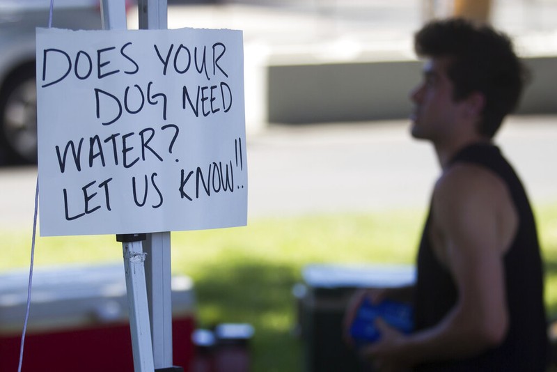 Gelombang panas Amerika Kanada