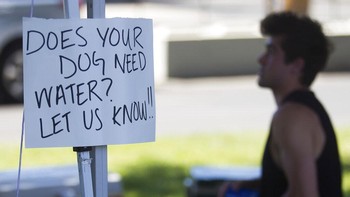 Bagi yang membutuhkan air untuk anjingnya, tempat ini menyediakannya. Foto: AP
