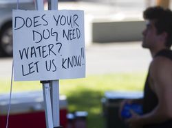 Usaha Warga Lawan Suhu Panas Ekstrim yang Ancam Nyawa