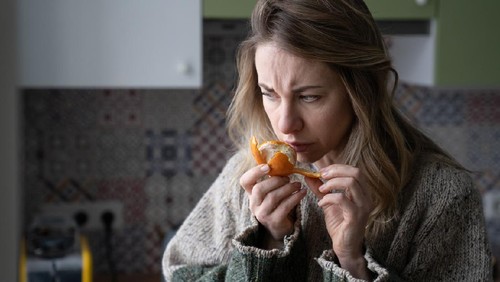 Indra Penciuman Hilang