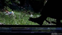 Sebagai informasi, detikcom bersama MIND ID mengadakan program Jelajah Tambang berisi ekspedisi ke daerah pertambangan Indonesia. detikcom menyambangi kota-kota industri tambang di Indonesia untuk memotret secara lengkap bagaimana kehidupan masyarakat dan daerah penghasil mineral serta bagaimana pengolahannya.