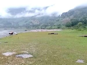 Lembah Salimbongan Belepotan Akibat Kunker Bupati Pinrang Dibersihkan