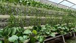 Mengintip Etalase Produk Teknologi Berbasis Green Campus
