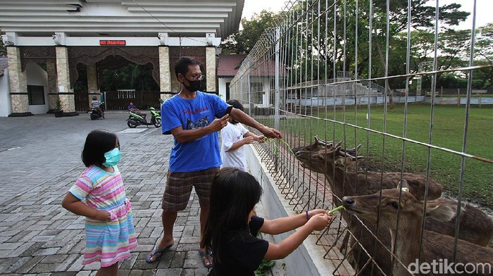 Di tengah pandemi Corona, sejumlah warga masih nekat memberi makan rusa di halaman depan Taman Balekambang yang sudah ditutup.