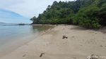 Foto Gajah di Tengah Lautan