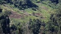 Jayadi mengungkapkan, lokasi lahan tersebut masuk dalam Kawasan Ekosistem Leuser (KEL). Operasi pemusnahan ladang ganja sendiri sudah beberapa kali dilakukan, juga pengembangan dan mengungkap kasus narkoba di Aceh dari jaringan nasional.
