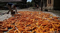 Dalam hal ini, PT Inalum membantu pengembangan seni dan budaya Desa Meat dengan menciptakan ruang kreatif, sanggar seni, dan sudut baca untuk anak-anak desa. Program yang dimulai pada Desember 2019 hingga Maret 2020 ini berkolaborasi dengan Rumah Karya Indonesia untuk menciptakan salah satu pusat ruang kreasi, ruang baca, dan pelestarian nilai-nilai budaya.