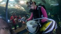 Negara di kawasan Asia Tenggara yang boleh masuk adalah Singapura, Kamboja, Laos, Brunei, Myanmar, dan Vietnam.Pengunjung dari luar Thailand harus sudah divaksinasi dua dosis 14 hari sebelum tiba di Phuket.