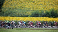 Dordogne. Jika pernah melihat pesepeda Tour de France dengan latar deretan bunga matahari, tempat itu dapat berada di Dorogne.  Salah satu rute favorit sepanjang 80 km dapat memulai dari  Sirkuit Vallée de la Dordogne menuju La Roque-Gageac, melintasi Beyanc, Vezac, Sarlat dan berakhir di Turnac. Rute ini sangat fotogenik dengan melewati sejumlah desa wisata yang instagramable. Chris Graythen/Getty Images.