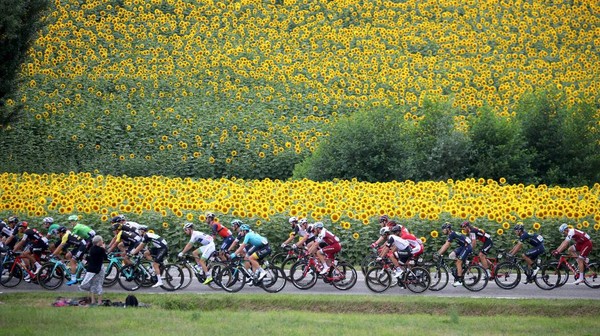 Dordogne. Jika pernah melihat pesepeda Tour de France dengan latar deretan bunga matahari, tempat itu dapat berada di Dorogne. Salah satu rute favorit sepanjang 80 km dapat memulai dari Sirkuit Vallée de la Dordogne menuju La Roque-Gageac, melintasi Beyanc, Vezac, Sarlat dan berakhir di Turnac. Rute ini sangat fotogenik dengan melewati sejumlah desa wisata yang instagramable. Chris Graythen/Getty Images. Dordogne. Jika pernah melihat pesepeda Tour de France dengan latar deretan bunga matahari, tempat itu dapat berada di Dorogne. Salah satu rute favorit sepanjang 80 km dapat memulai dari Sirkuit Vallée de la Dordogne menuju La Roque-Gageac, melintasi Beyanc, Vezac, Sarlat dan berakhir di Turnac. Rute ini sangat fotogenik dengan melewati sejumlah desa wisata yang instagramable. Chris Graythen/Getty Images.