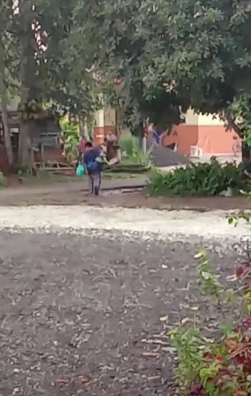 Bocah 11 Tahun Bekerja Minta Upah Beras untuk Makan Keluarga