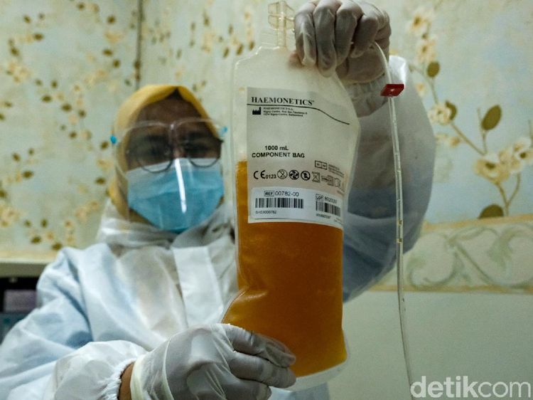 Corona Merajalela, Permintaan Plasma Konvalesen Meningkat
