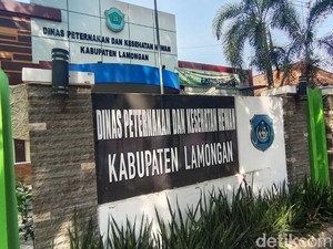 Pedagang Hewan Kurban Boleh ke Lamongan Selama PPKM Darurat