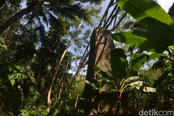 Keberadaan jembatan KA yang juga dikenal dengan nama jembatan Cipamotan itu bisa menjadi wisata alternatif atau wisata tambahan sebelum menuju pantai Pangandaran. Keberadaan jembatan KA yang juga dikenal dengan nama jembatan Cipamotan itu bisa menjadi wisata alternatif atau wisata tambahan sebelum menuju pantai Pangandaran.