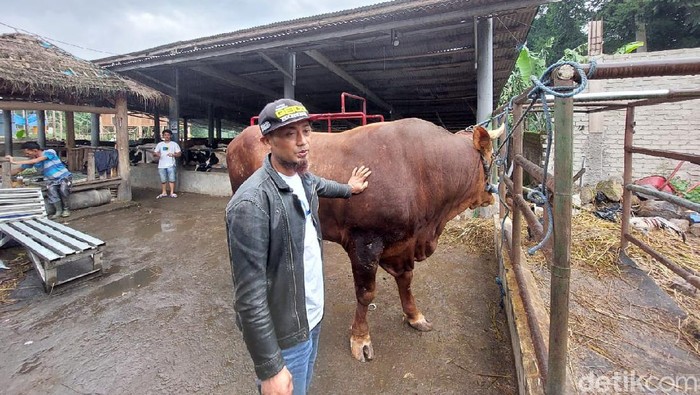Pedagang hewan kurban di Bandung Barat masih cuan