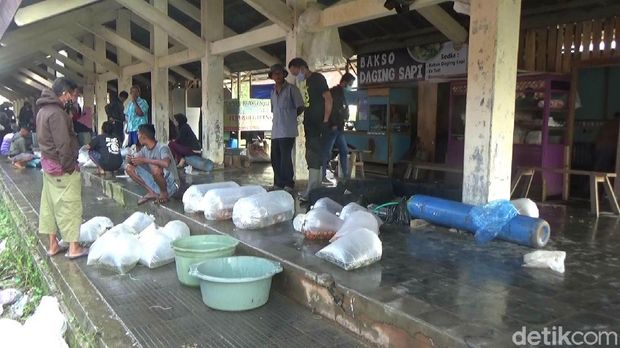 Pedagang ikan di Banjarnegara siap berkorban di tengah kelangkaan oksigen, imbas COVID-19.
