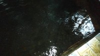 Buih-buih ini merupakan mata air yang keluar dari dalam tanah. (Bonauli/detikcom)