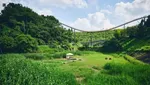 Foto: Hutan Khusus Berburu Pokemon di Jepang