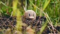 Butuh ketelitian dan mata yang jeli ini. Ada lebih dari 50 spesies Pokémon yang berbeda untuk ditemukan para penjelajah.