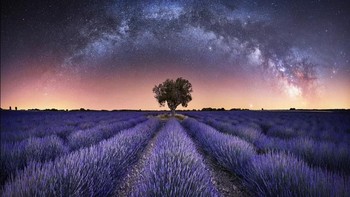 Berjudul Harmony karya fotografer Stefan Liebermann yang menampilkan potret panorama Bima Sakit di atas ladang lavener di Valensole, Prancis. Foto: Royal Observatory Greenwich Astronomy Photography 2021