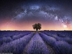 Karya Foto Jagat Raya yang Bikin Mata Terpana