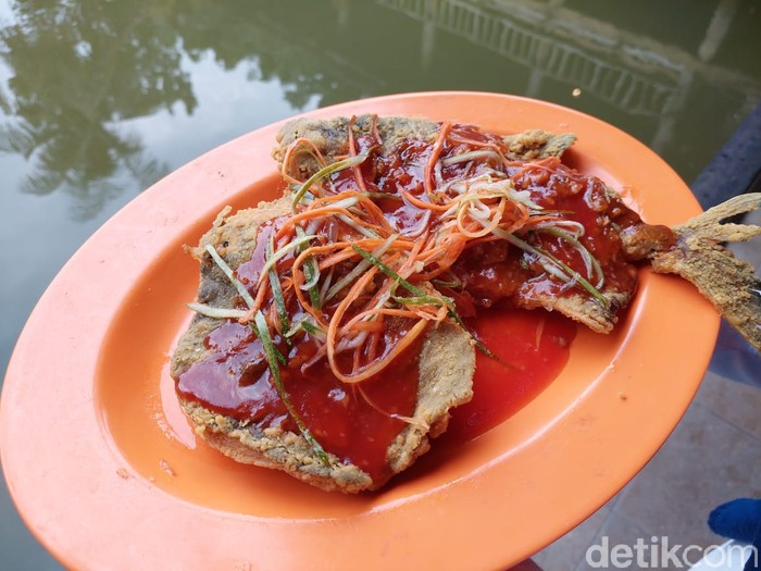 Asyik! Di Sini Bisa Makan Sambil Mancing Ikan Lele hingga Gurame Asyik! Di Sini Bisa Makan Sambil Mancing Ikan Lele hingga Gurame