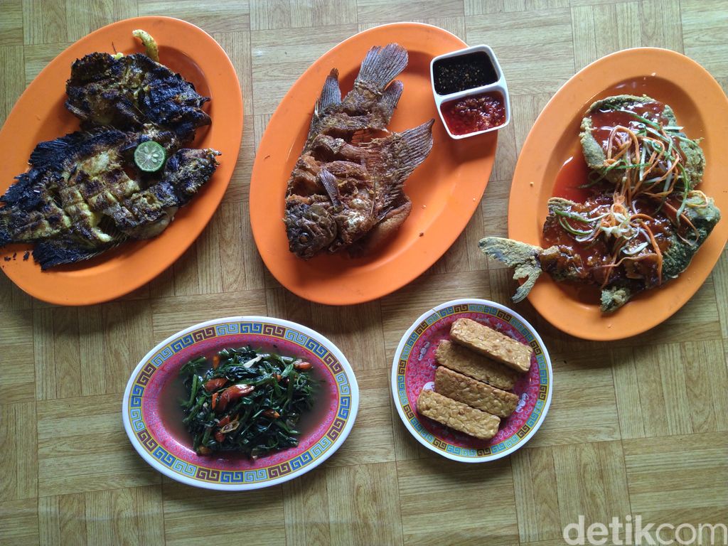 Asyik! Di Sini Bisa Makan Sambil Mancing Ikan Lele hingga Gurame